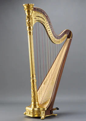 Aoyama Monarch 47 - Gold - Image 2