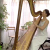 AOYAMA Princess Sakura Concert Harp - Image 8