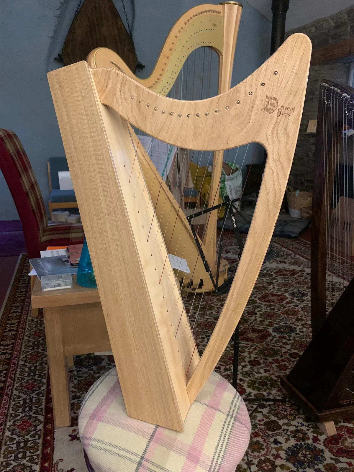 Discovery 16 - Discover the Harp at Home, includes harp, introductory book, 3 video lessons and tuning key plus much more - Image 101