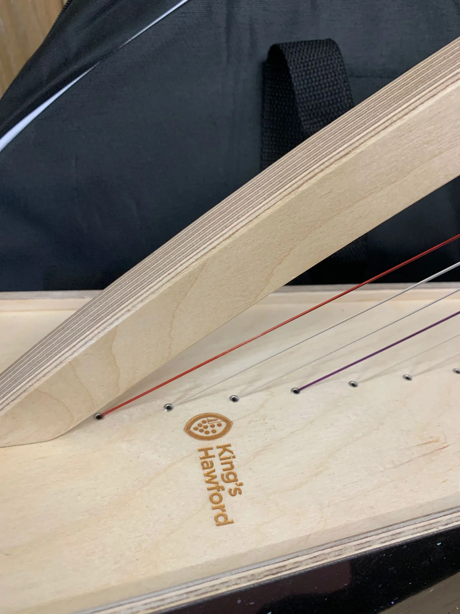 Discovery 16 - Discover the Harp at Home, includes harp, introductory book, 3 video lessons and tuning key plus much more - Image 115