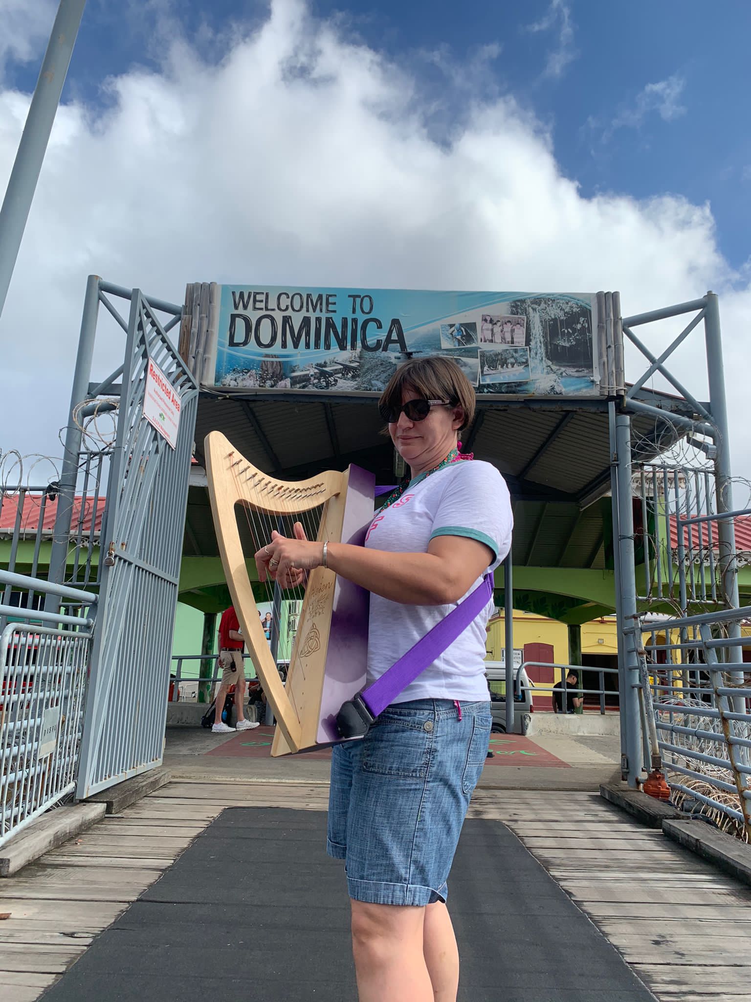 Discovery 16 - Discover the Harp at Home, includes harp, introductory book, 3 video lessons and tuning key plus much more - Image 118