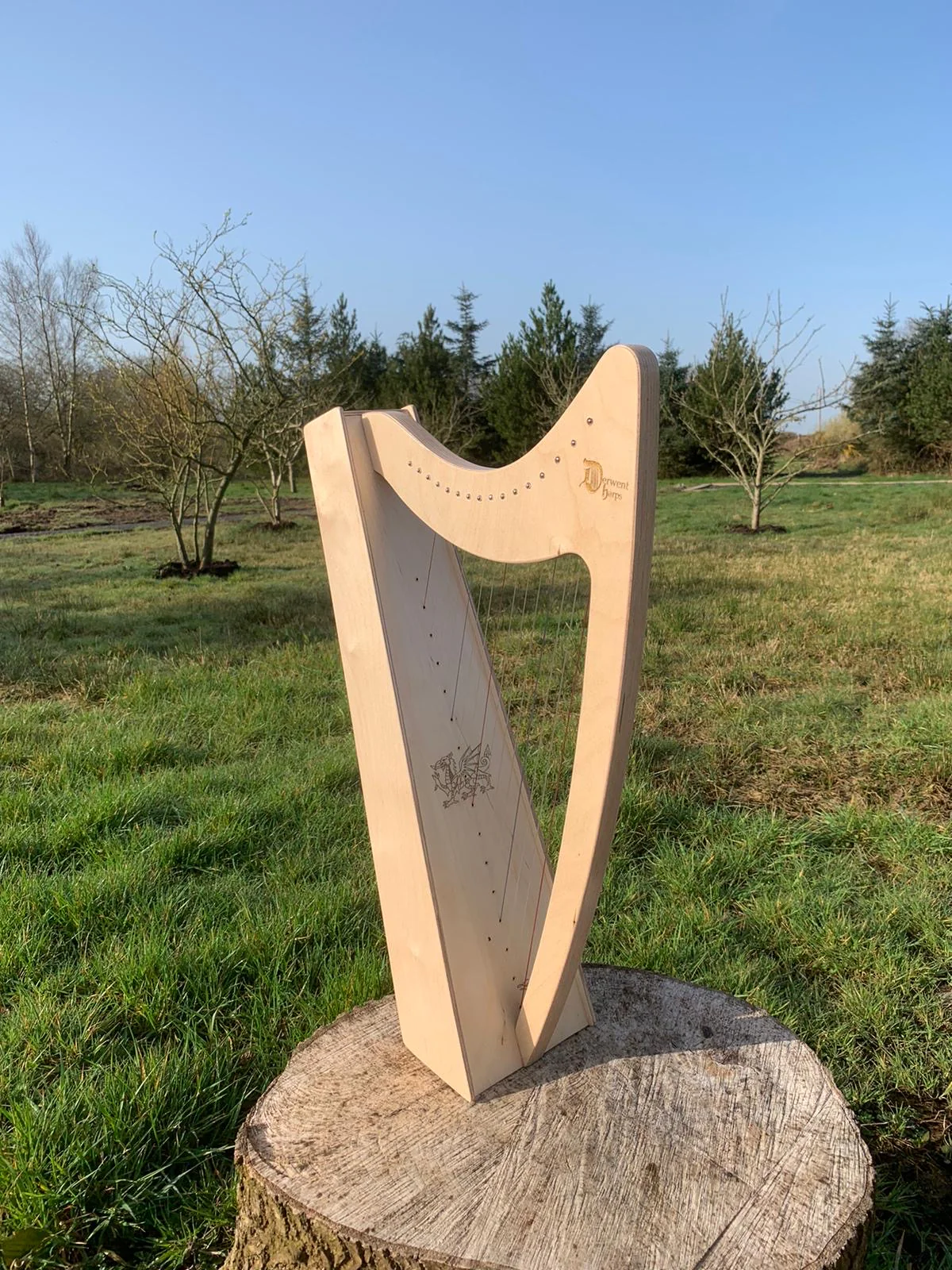 Discovery 16 - Discover the Harp at Home, includes harp, introductory book, 3 video lessons and tuning key plus much more - Image 12