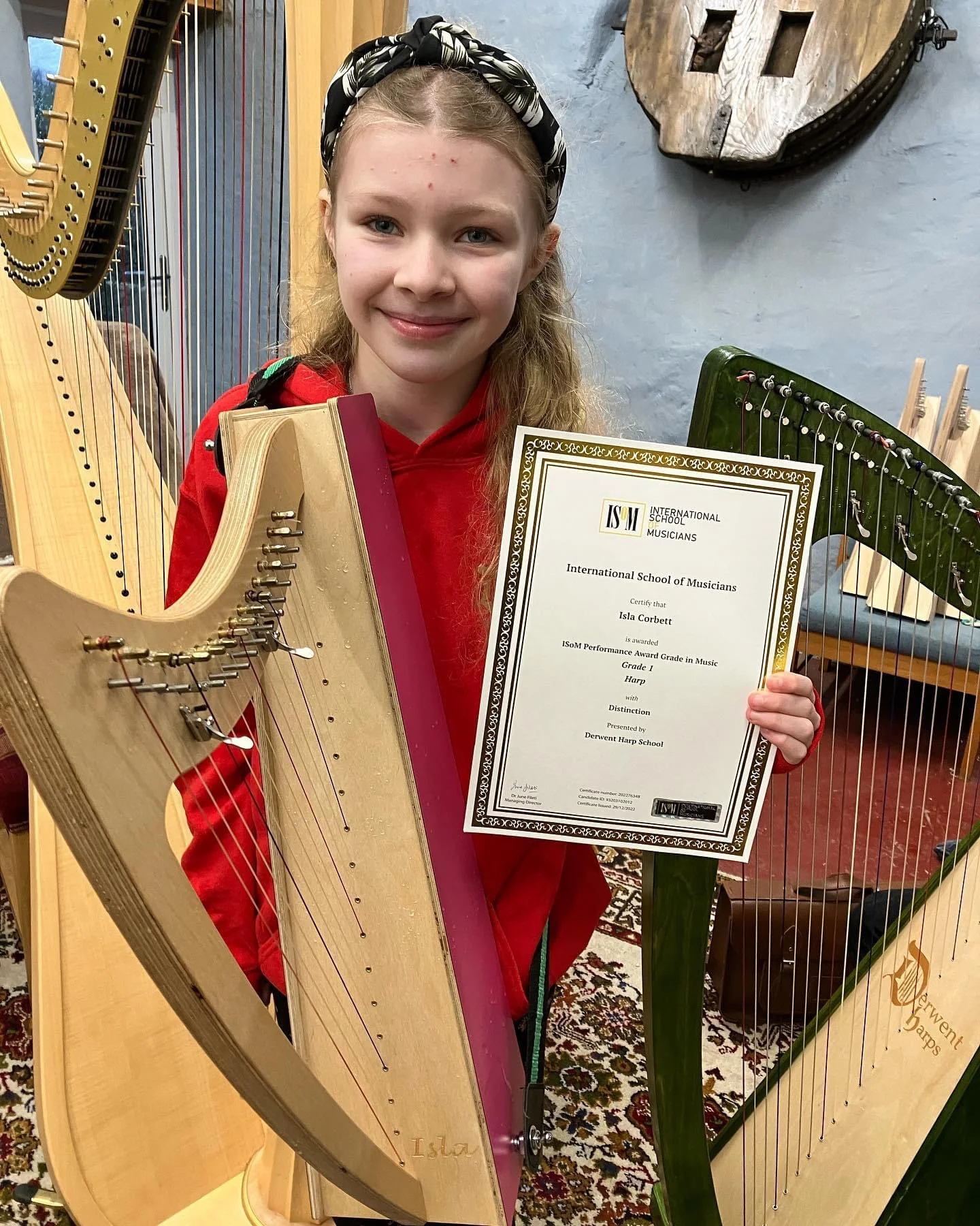 Discovery 16 - Discover the Harp at Home, includes harp, introductory book, 3 video lessons and tuning key plus much more - Image 121
