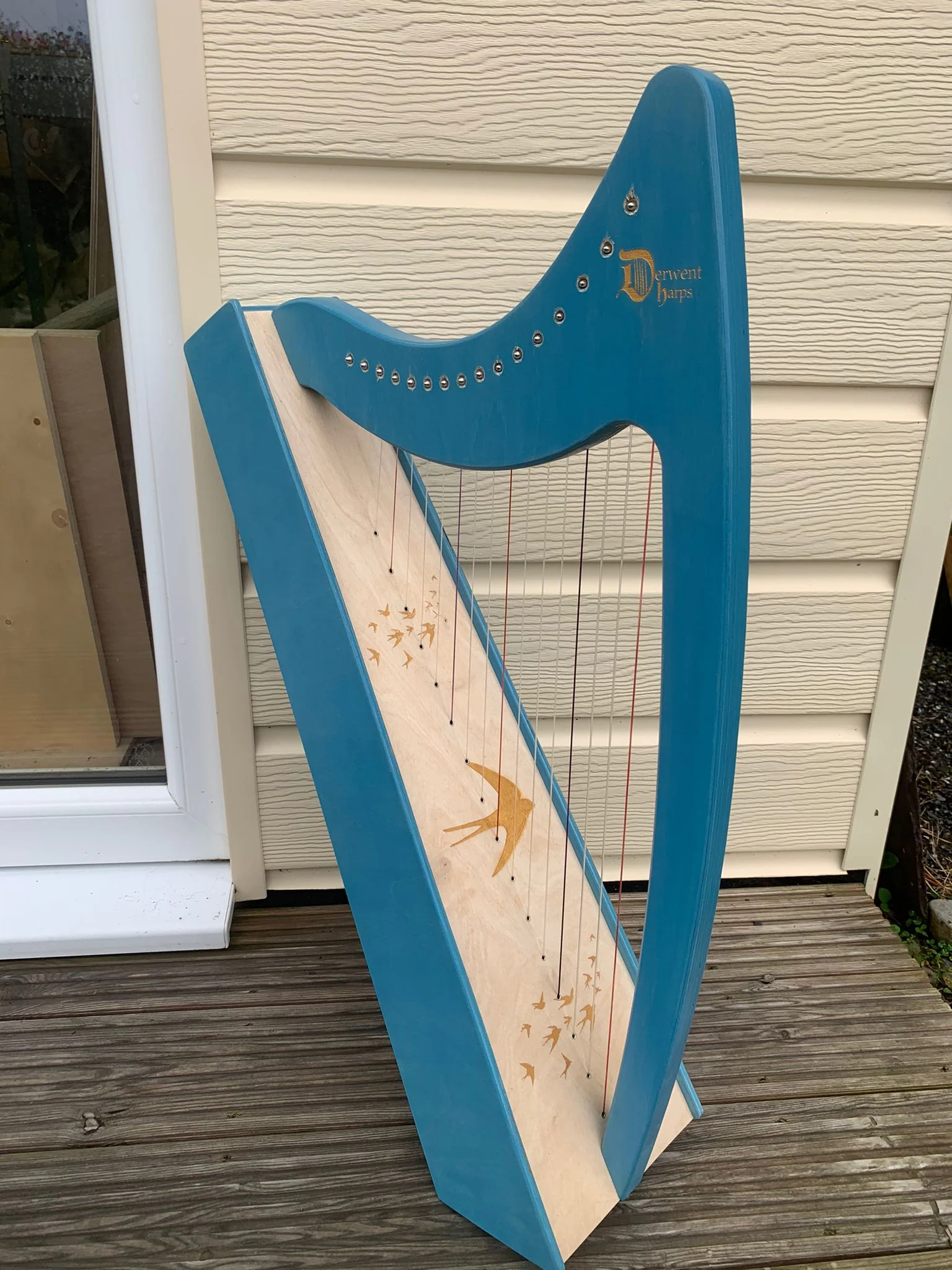Discovery 16 - Discover the Harp at Home, includes harp, introductory book, 3 video lessons and tuning key plus much more - Image 141