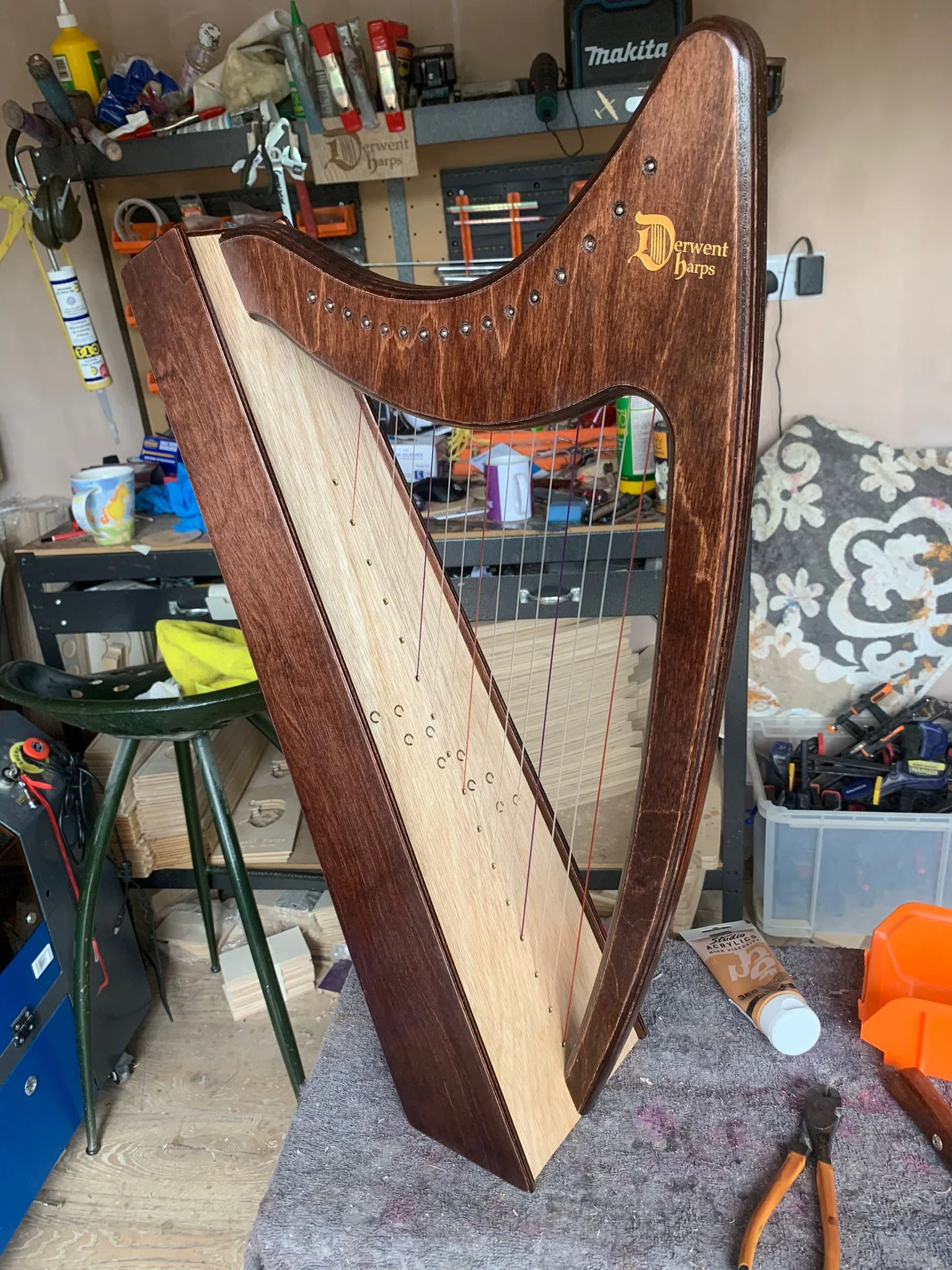 Discovery 16 - Discover the Harp at Home, includes harp, introductory book, 3 video lessons and tuning key plus much more - Image 145