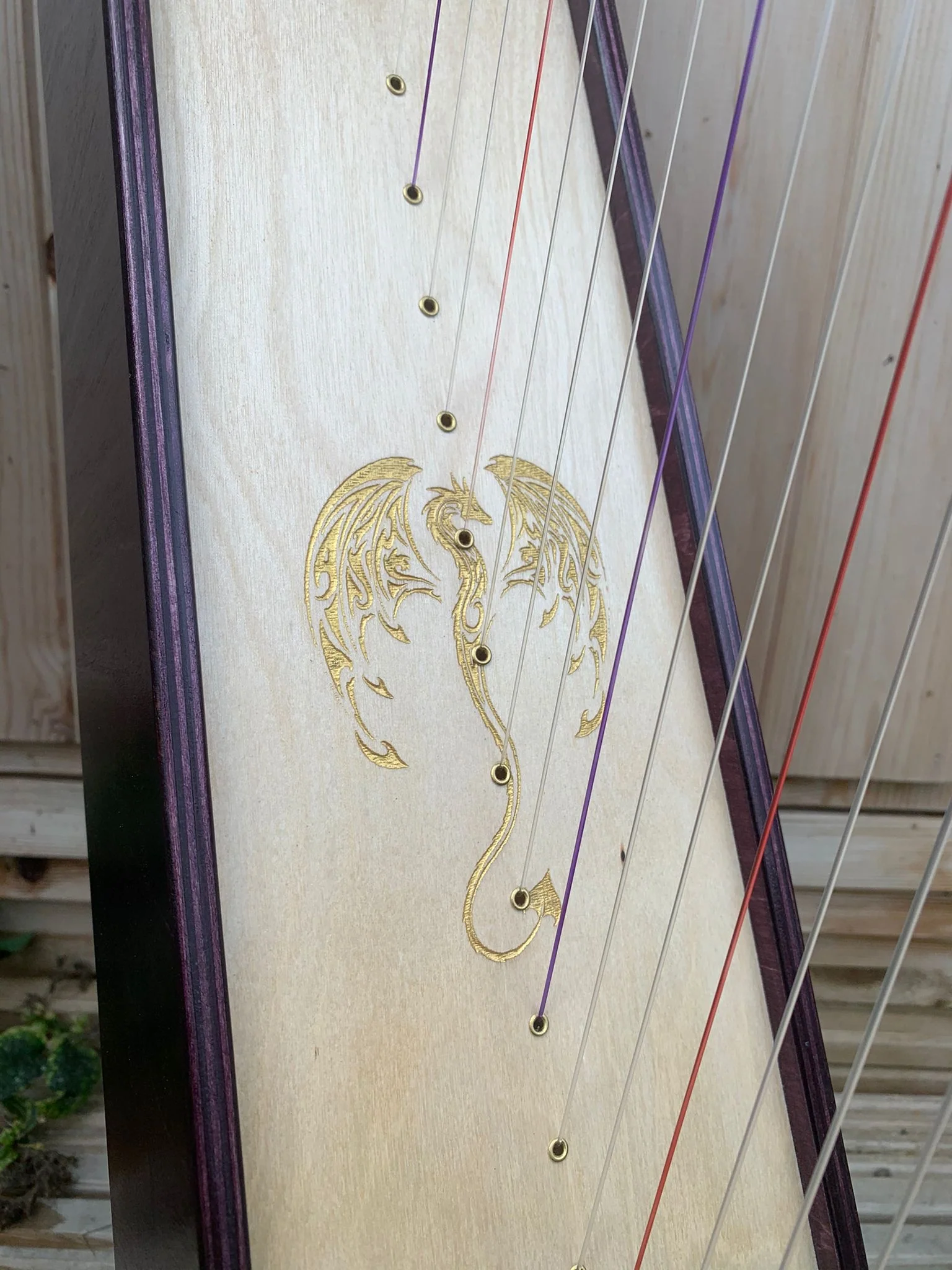 Discovery 16 - Discover the Harp at Home, includes harp, introductory book, 3 video lessons and tuning key plus much more - Image 147