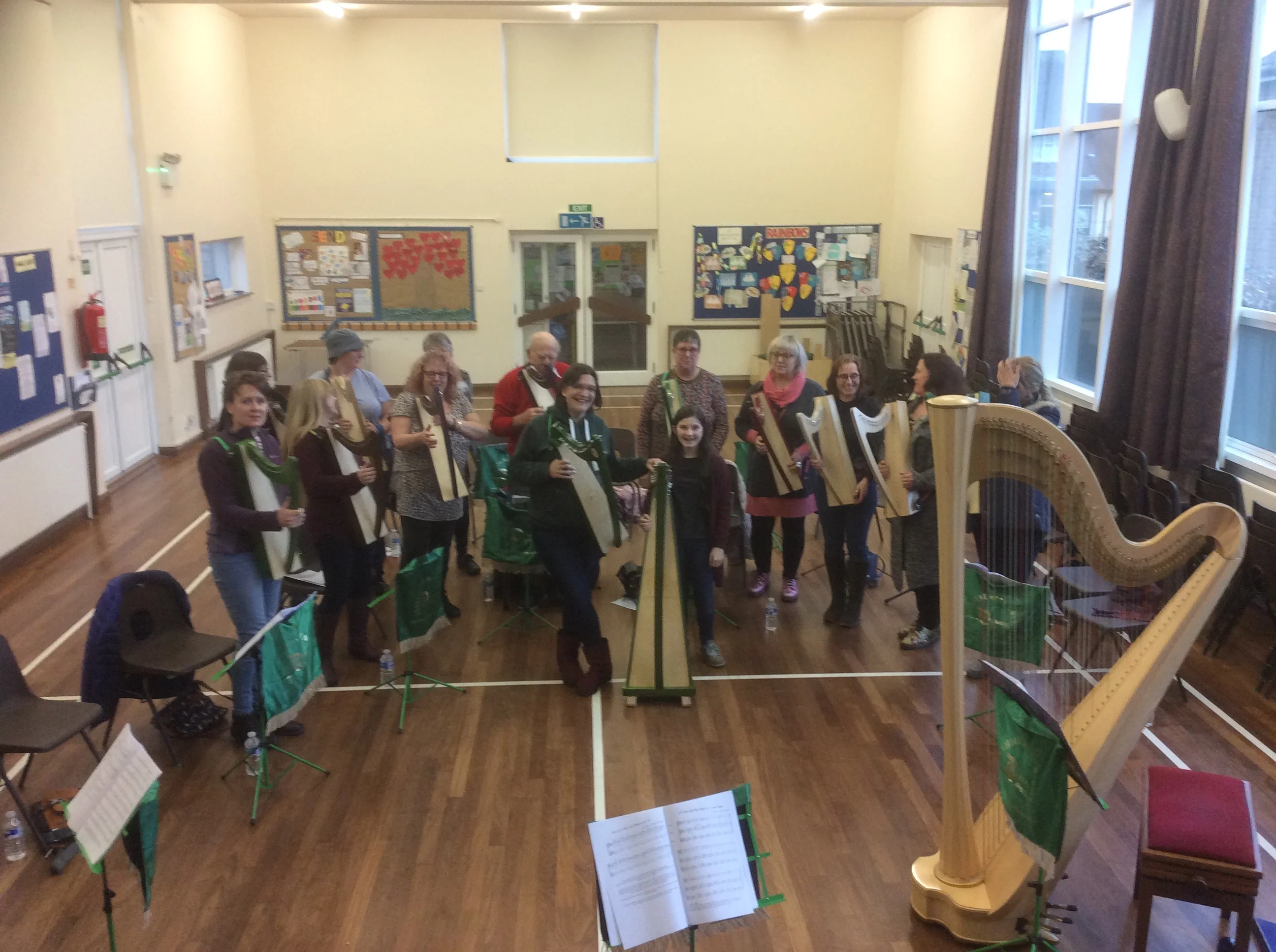 Discovery 16 - Discover the Harp at Home, includes harp, introductory book, 3 video lessons and tuning key plus much more - Image 18