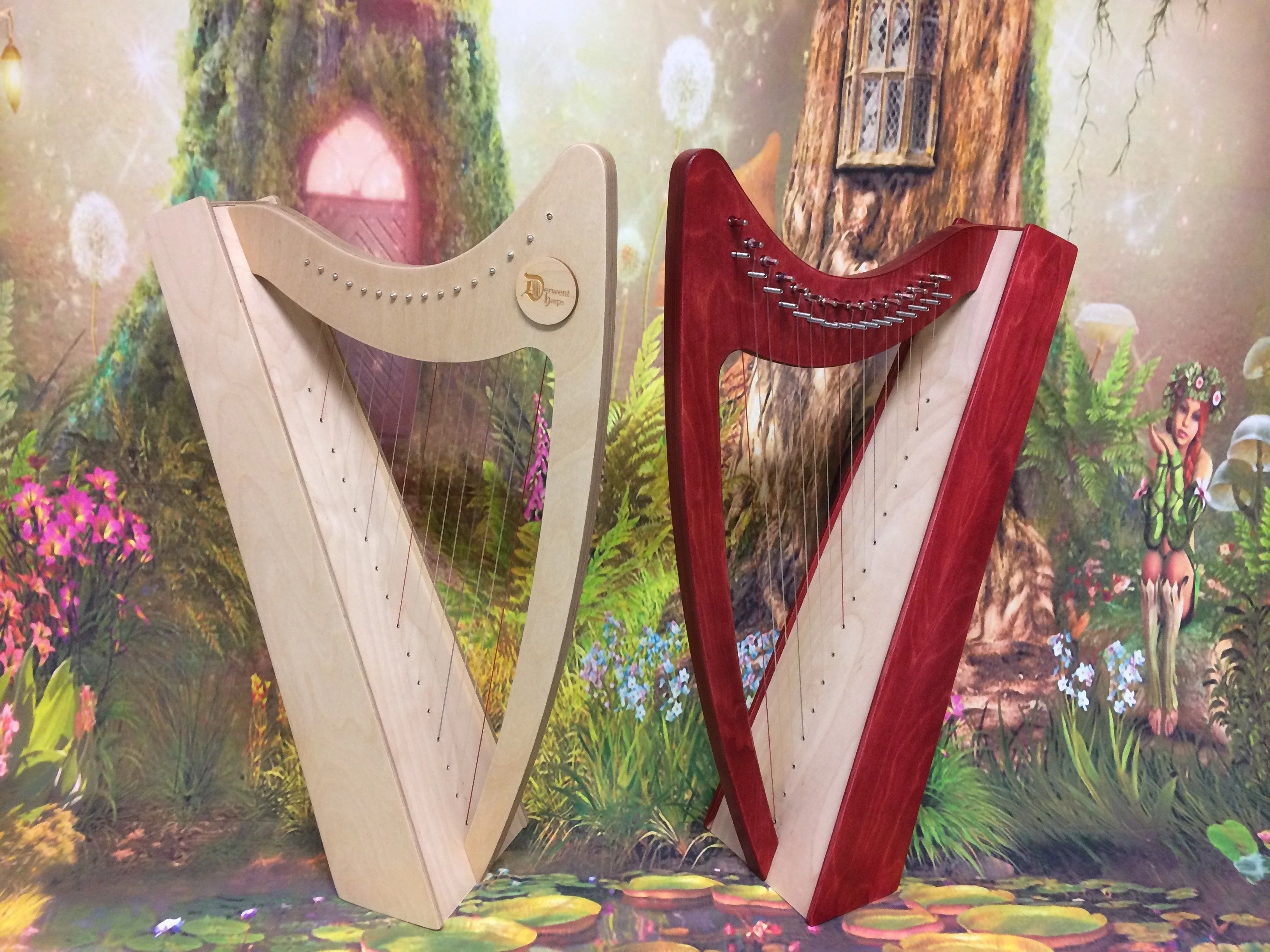 Discovery 16 - Discover the Harp at Home, includes harp, introductory book, 3 video lessons and tuning key plus much more - Image 24