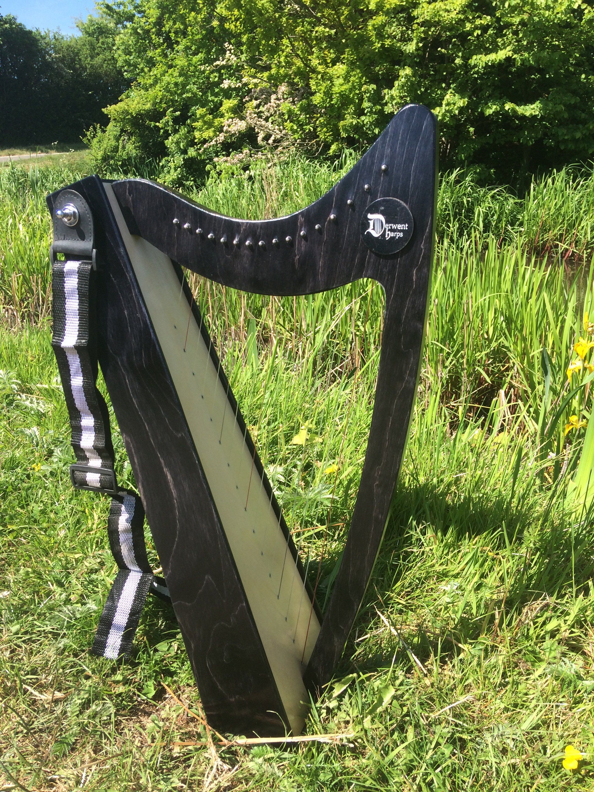 Discovery 16 - Discover the Harp at Home, includes harp, introductory book, 3 video lessons and tuning key plus much more - Image 29