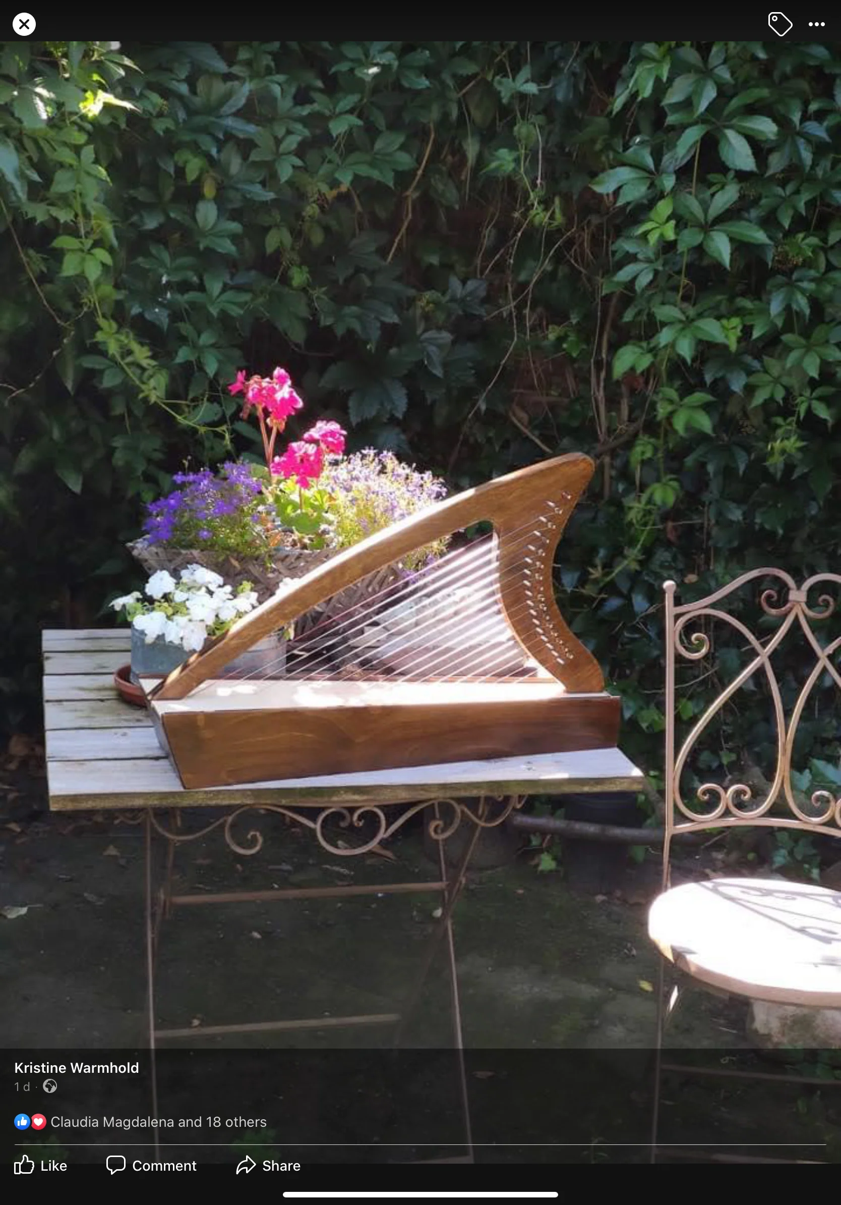 Discovery 16 - Discover the Harp at Home, includes harp, introductory book, 3 video lessons and tuning key plus much more - Image 32