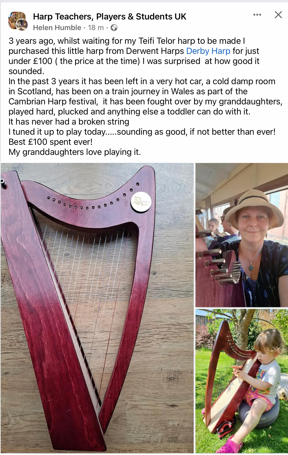 Discovery 16 - Discover the Harp at Home, includes harp, introductory book, 3 video lessons and tuning key plus much more - Image 4