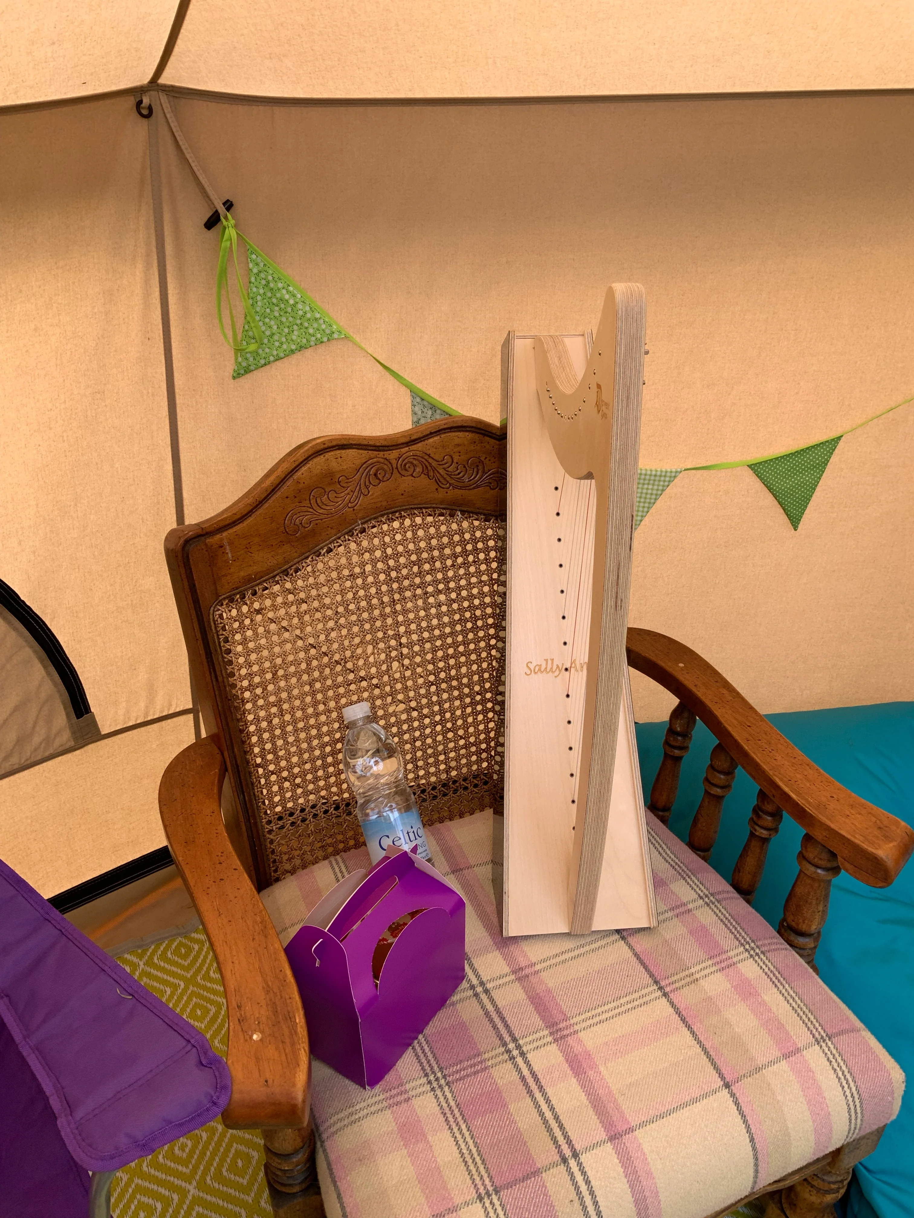 Discovery 16 - Discover the Harp at Home, includes harp, introductory book, 3 video lessons and tuning key plus much more - Image 55