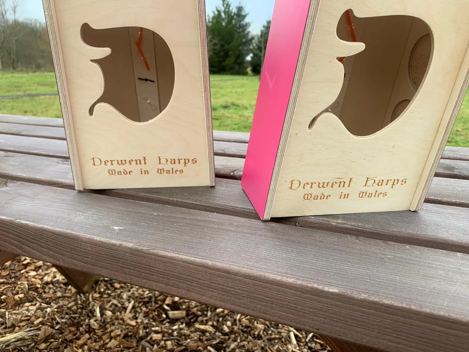 Discovery 16 - Discover the Harp at Home, includes harp, introductory book, 3 video lessons and tuning key plus much more - Image 7