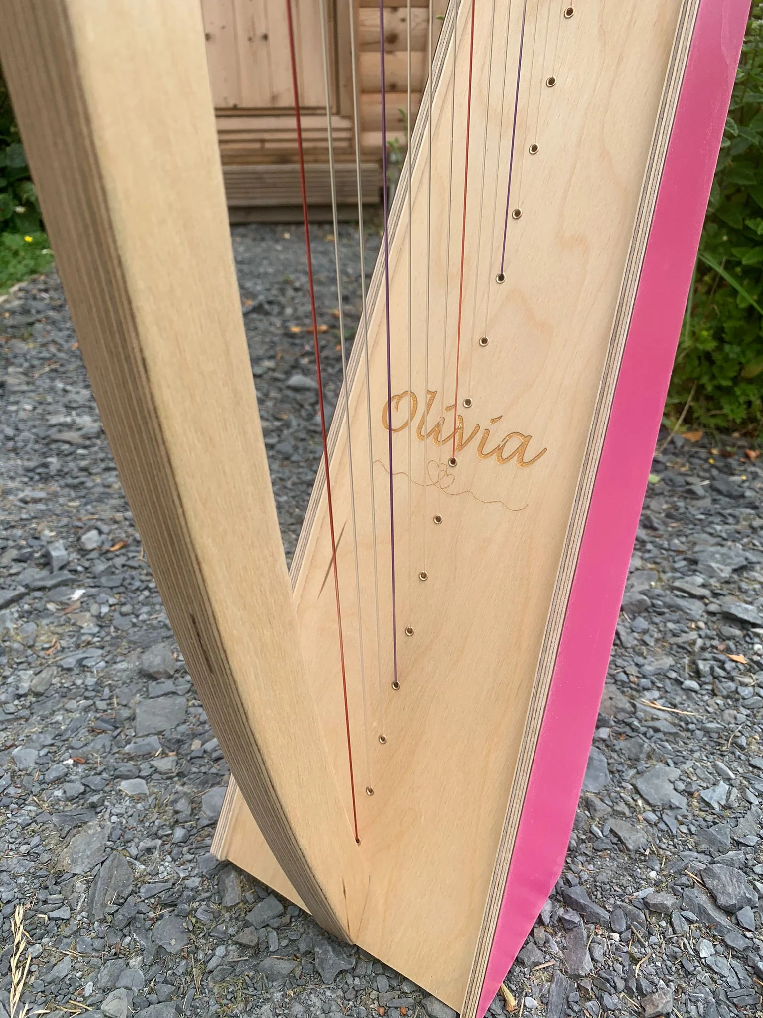 Discovery 16 - Discover the Harp at Home, includes harp, introductory book, 3 video lessons and tuning key plus much more - Image 87