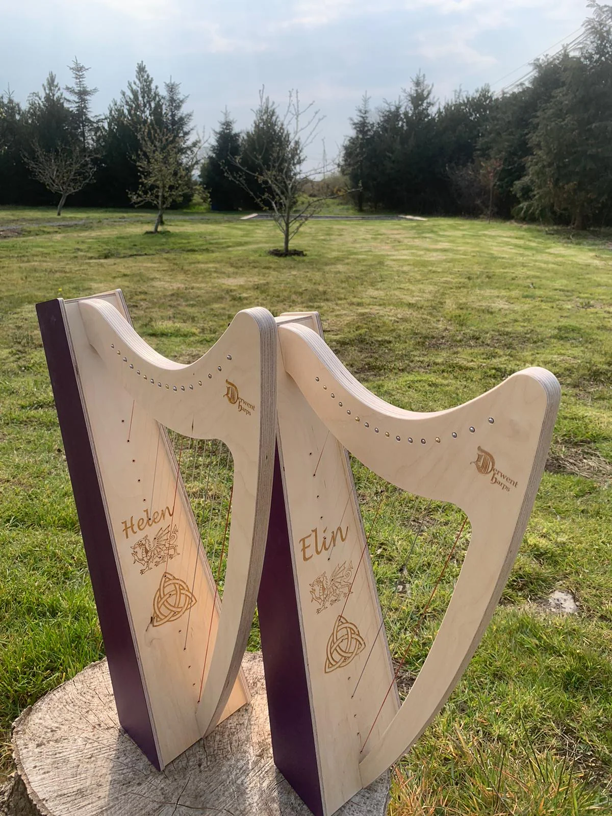 Discovery 16 - Discover the Harp at Home, includes harp, introductory book, 3 video lessons and tuning key plus much more - Image 9