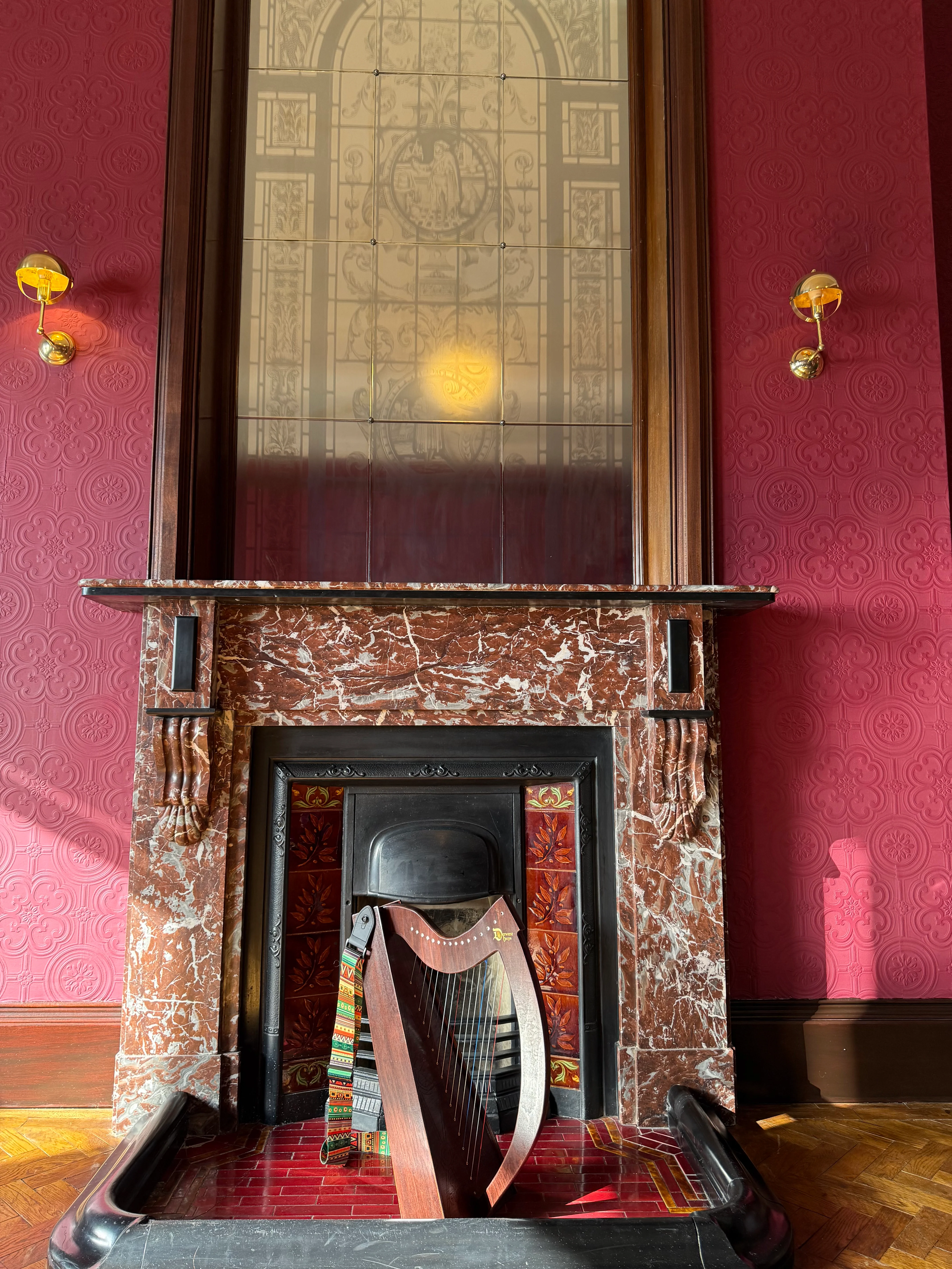 DiscoverIE 16 - Discover The Irish Harp at Home - Image 11