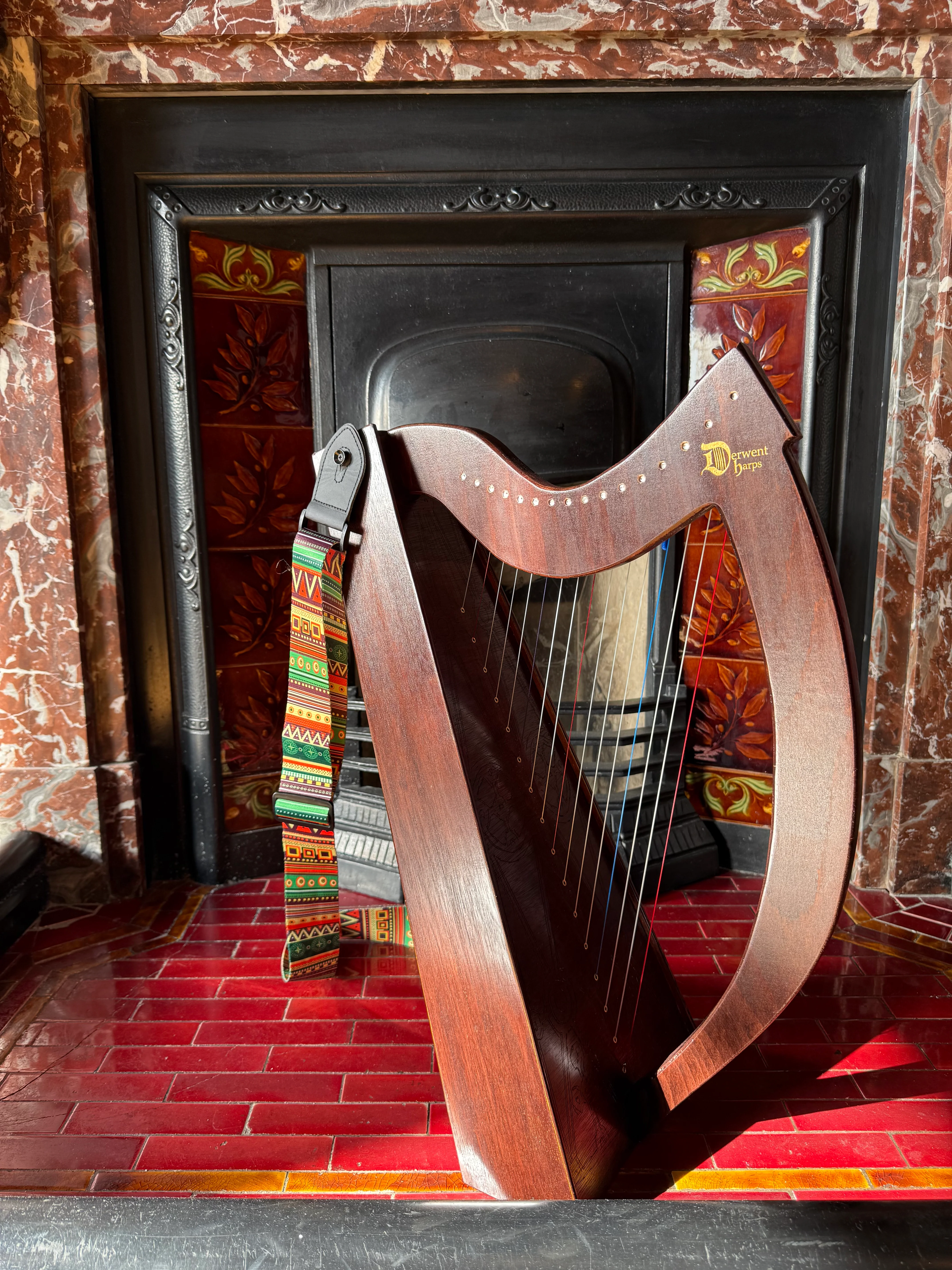 DiscoverIE 16 - Discover The Irish Harp at Home - Image 12