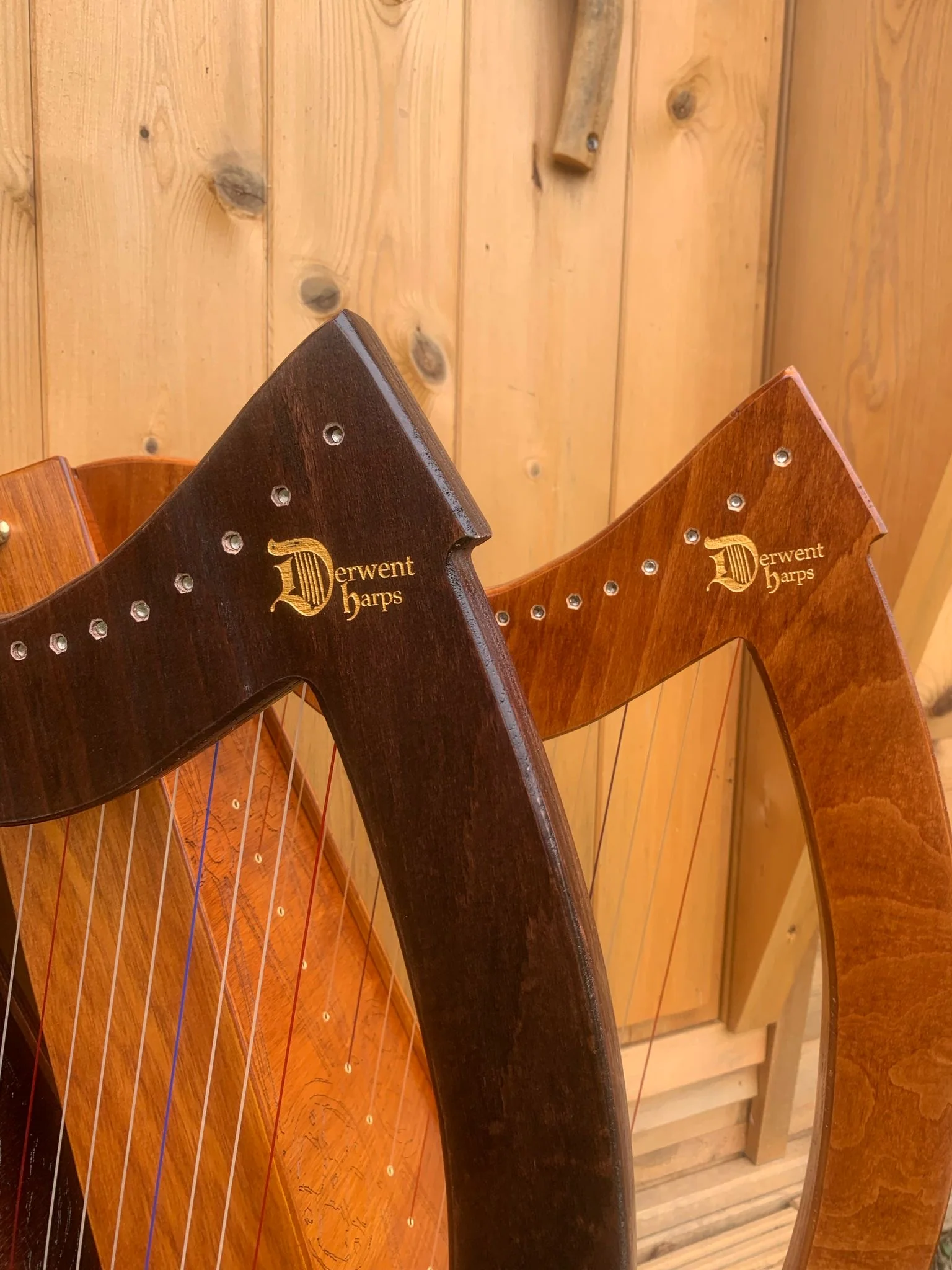 DiscoverIE 16 - Discover The Irish Harp at Home - Image 2