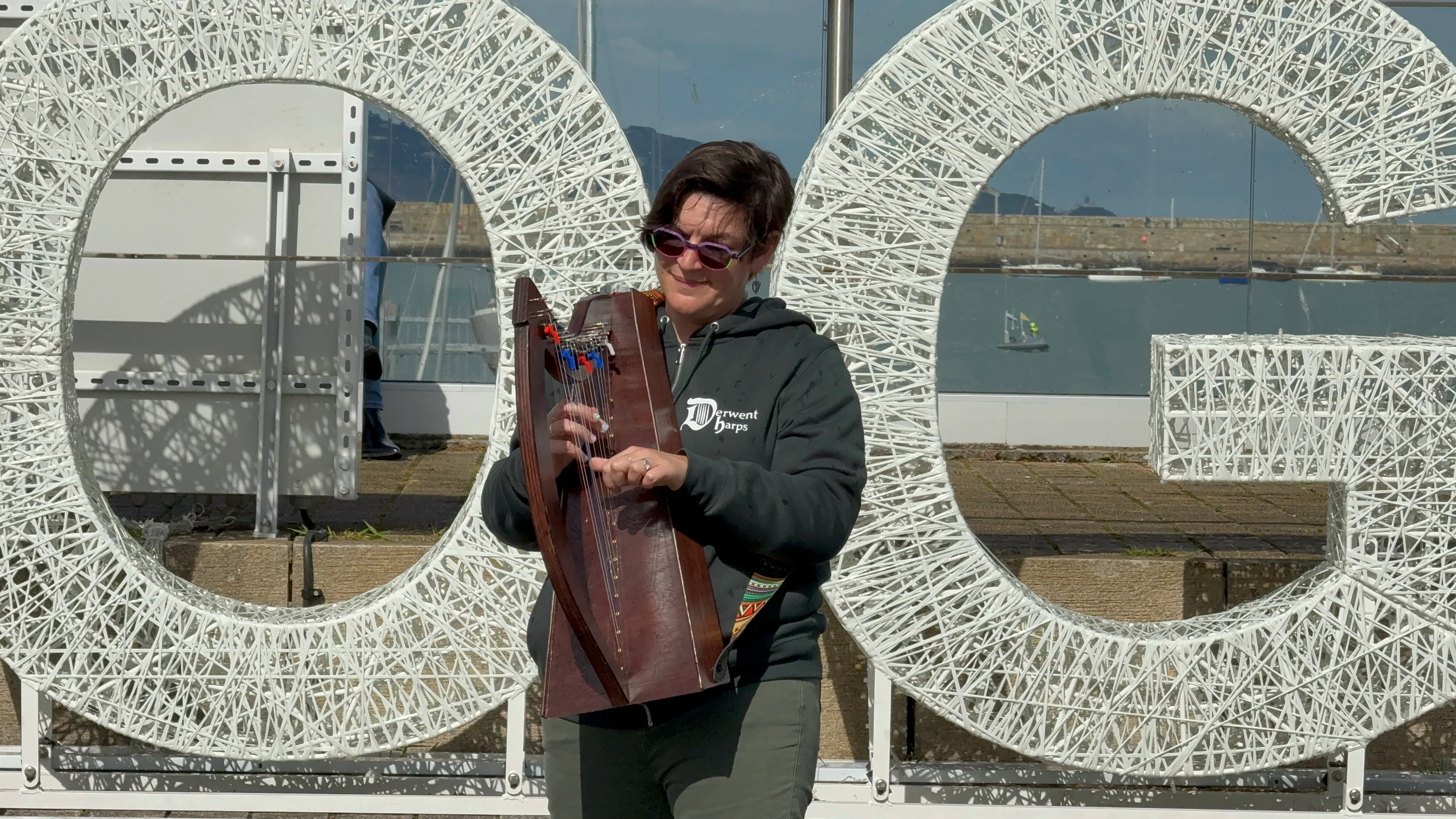 DiscoverIE 16 - Discover The Irish Harp at Home - Image 9