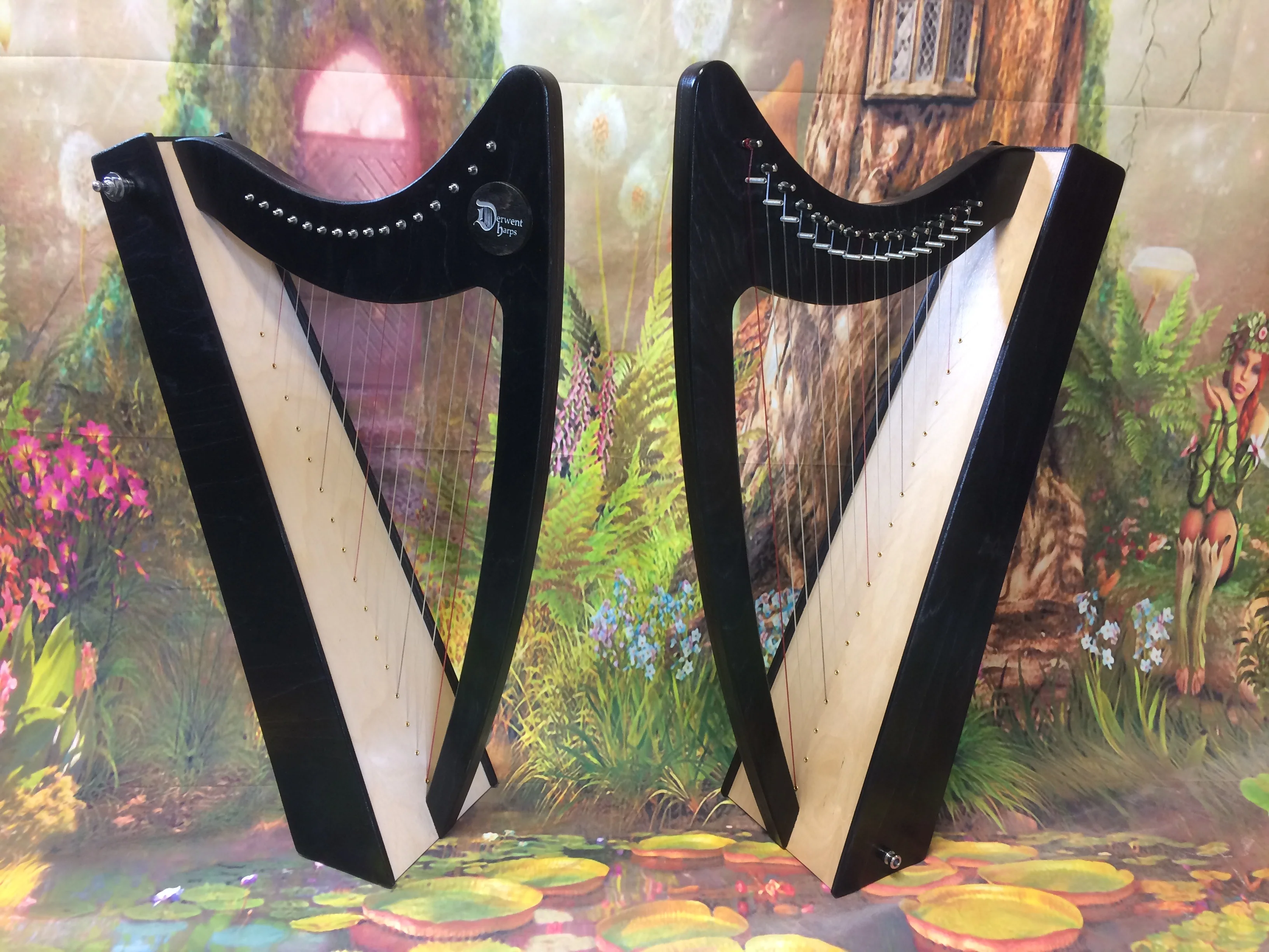 Discovery 16 Education Bundle - 10 Harps Plus teaching resouces for just £1499 - Image 11
