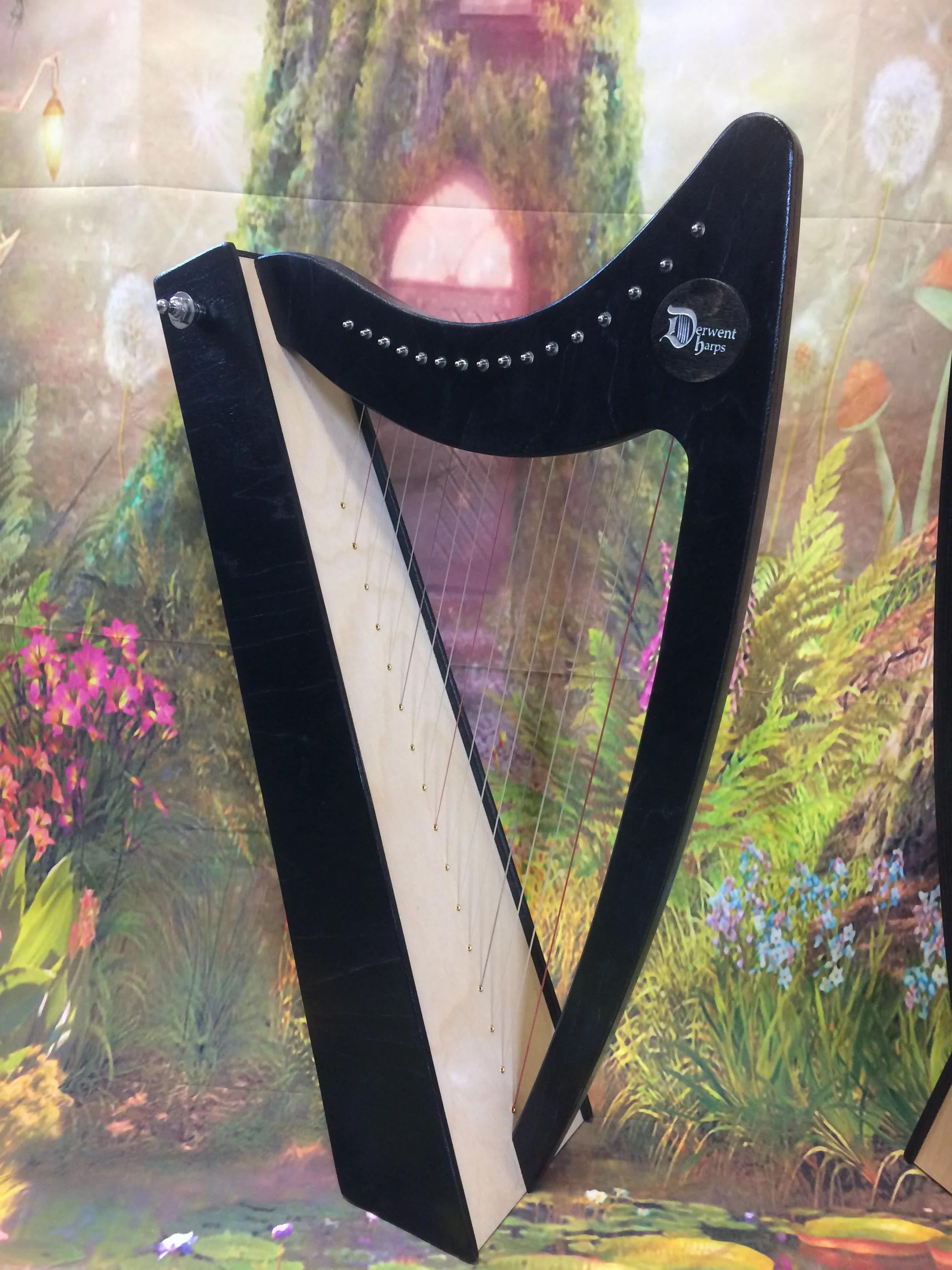 Discovery 16 Education Bundle - 10 Harps Plus teaching resouces for just £1499 - Image 13