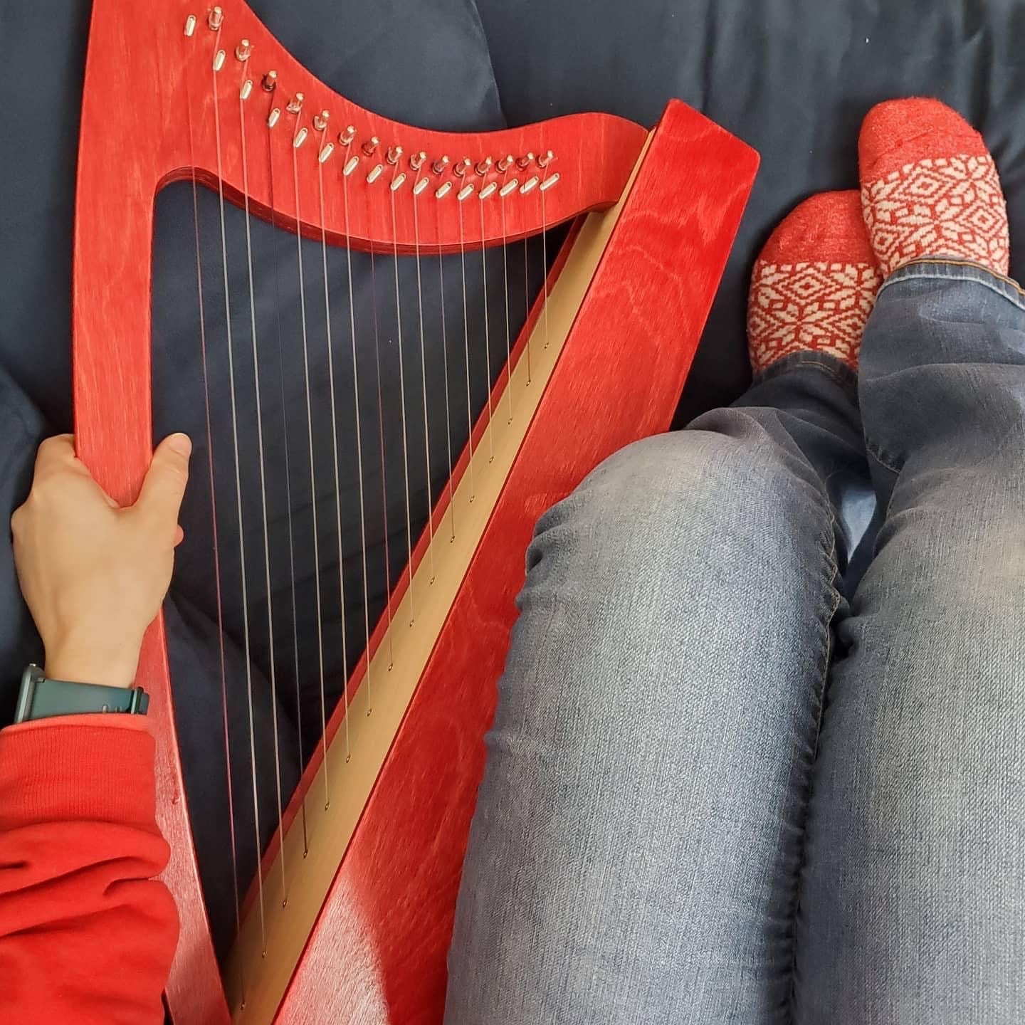 Discovery 16 Education Bundle - 10 Harps Plus teaching resouces for just £1499 - Image 14