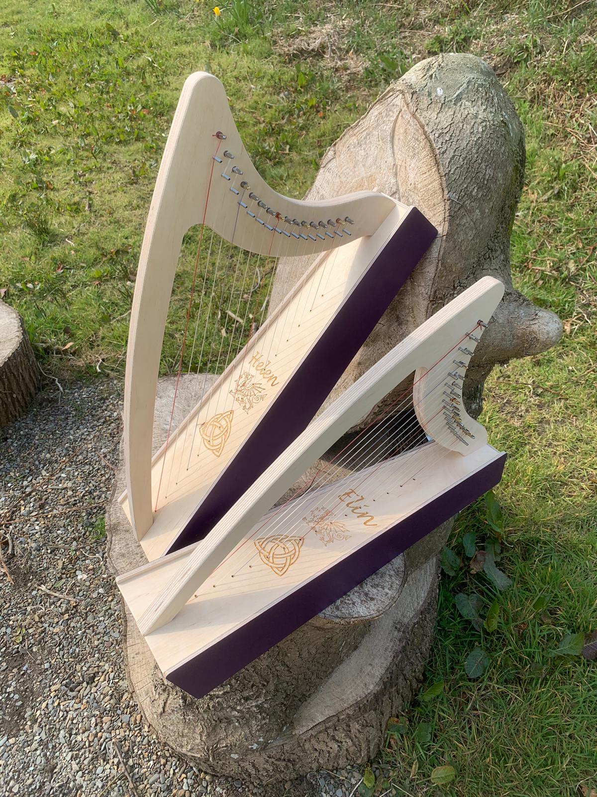 Discovery 16 Education Bundle - 10 Harps Plus teaching resouces for just £1499 - Image 18
