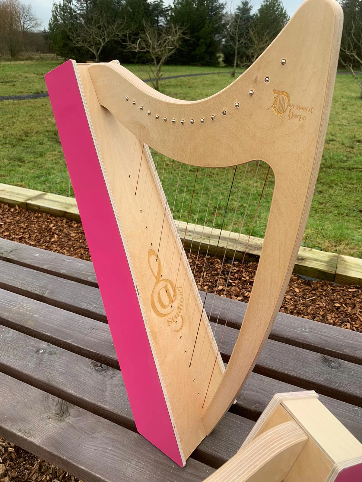 Discovery 16 Education Bundle - 10 Harps Plus teaching resouces for just £1499 - Image 2