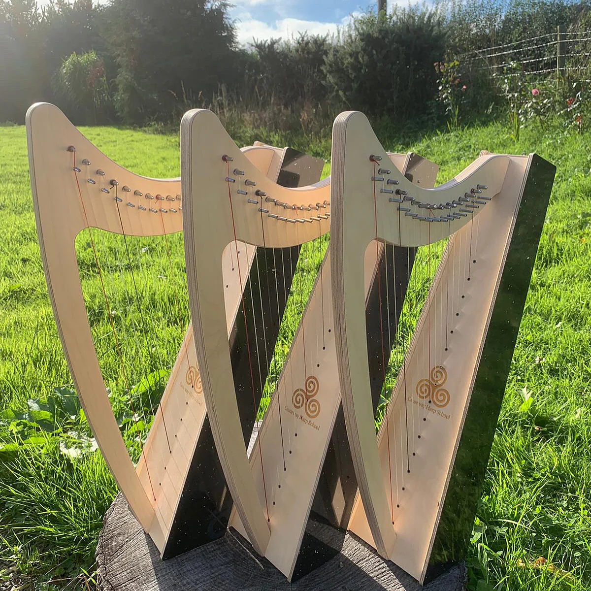 Discovery 16 Education Bundle - 10 Harps Plus teaching resouces for just £1499 - Image 7
