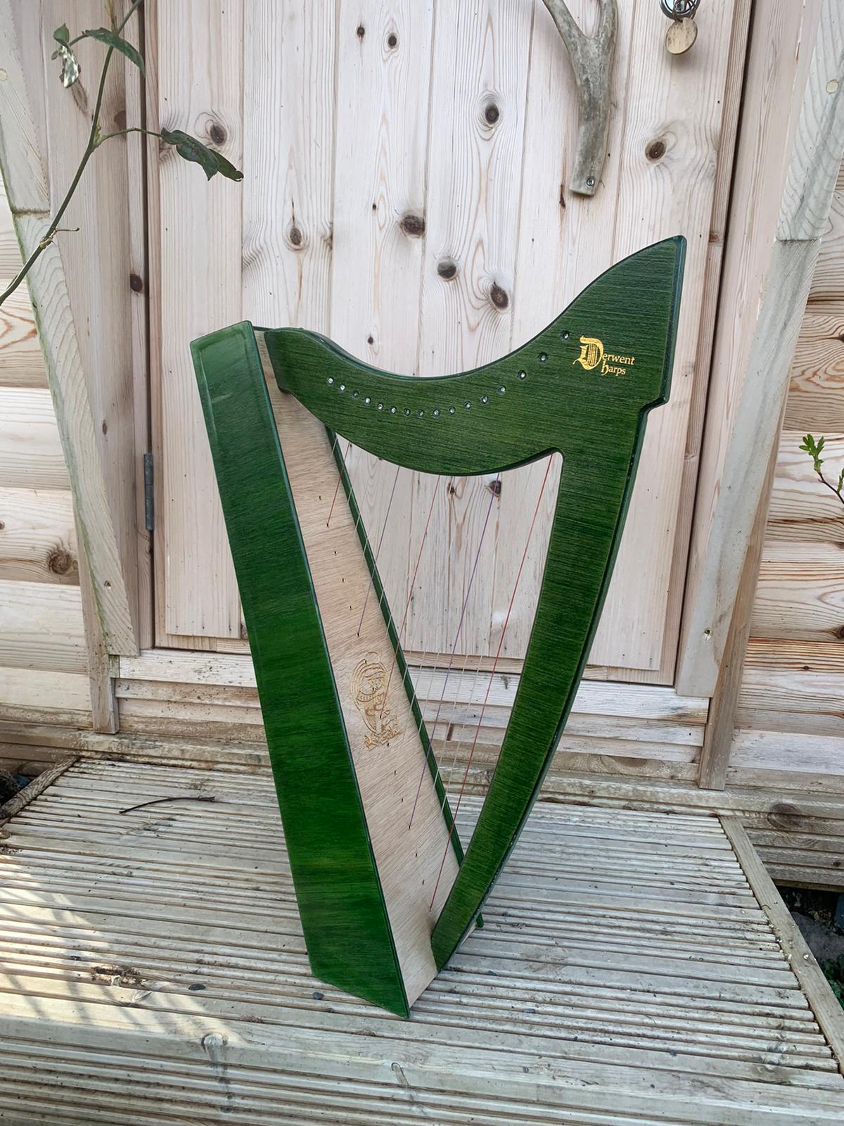 Discovery 16 - St Patrick’s Day Special Edition - Image 2