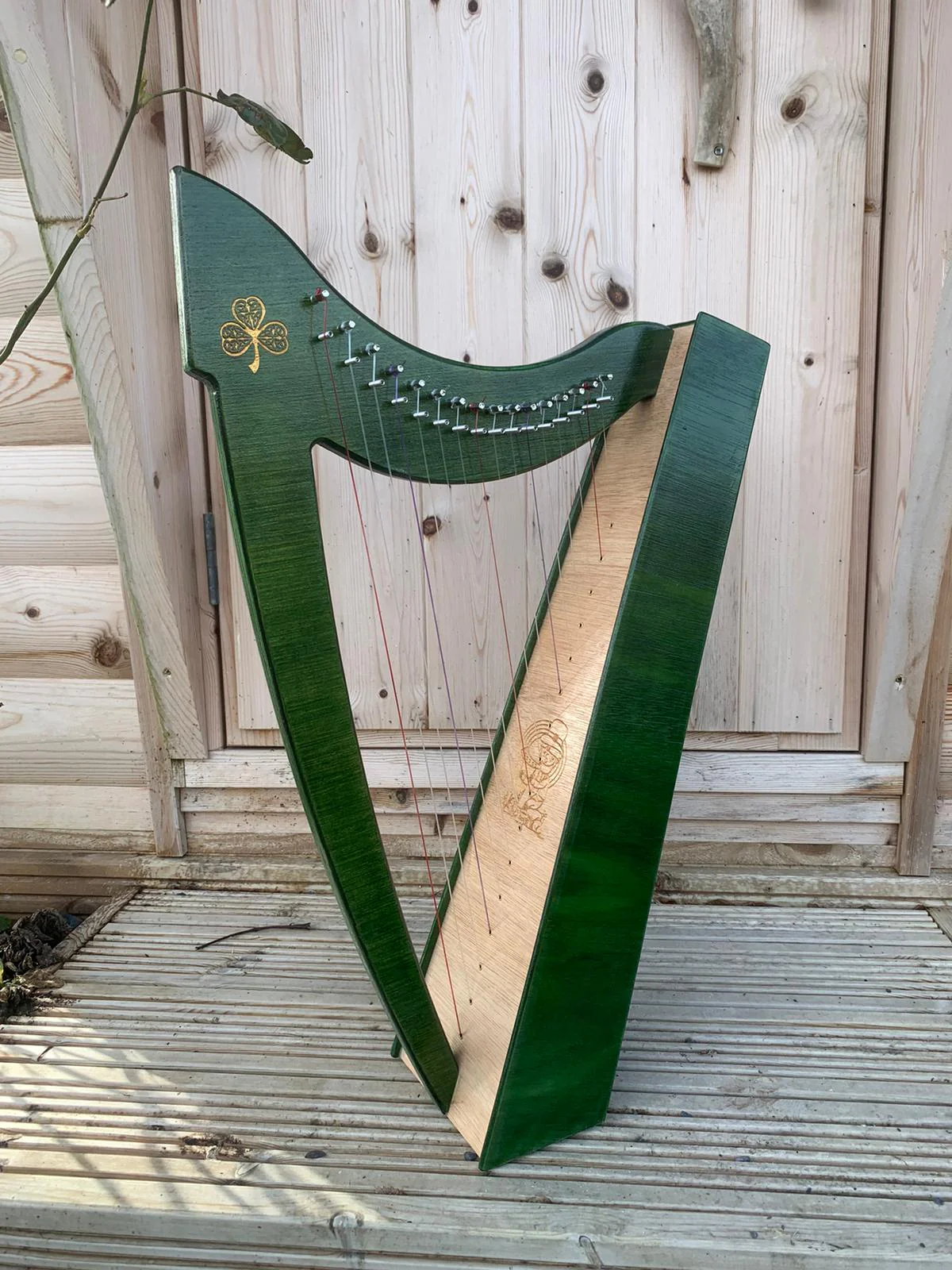 Discovery 16 - St Patrick’s Day Special Edition - Image 7