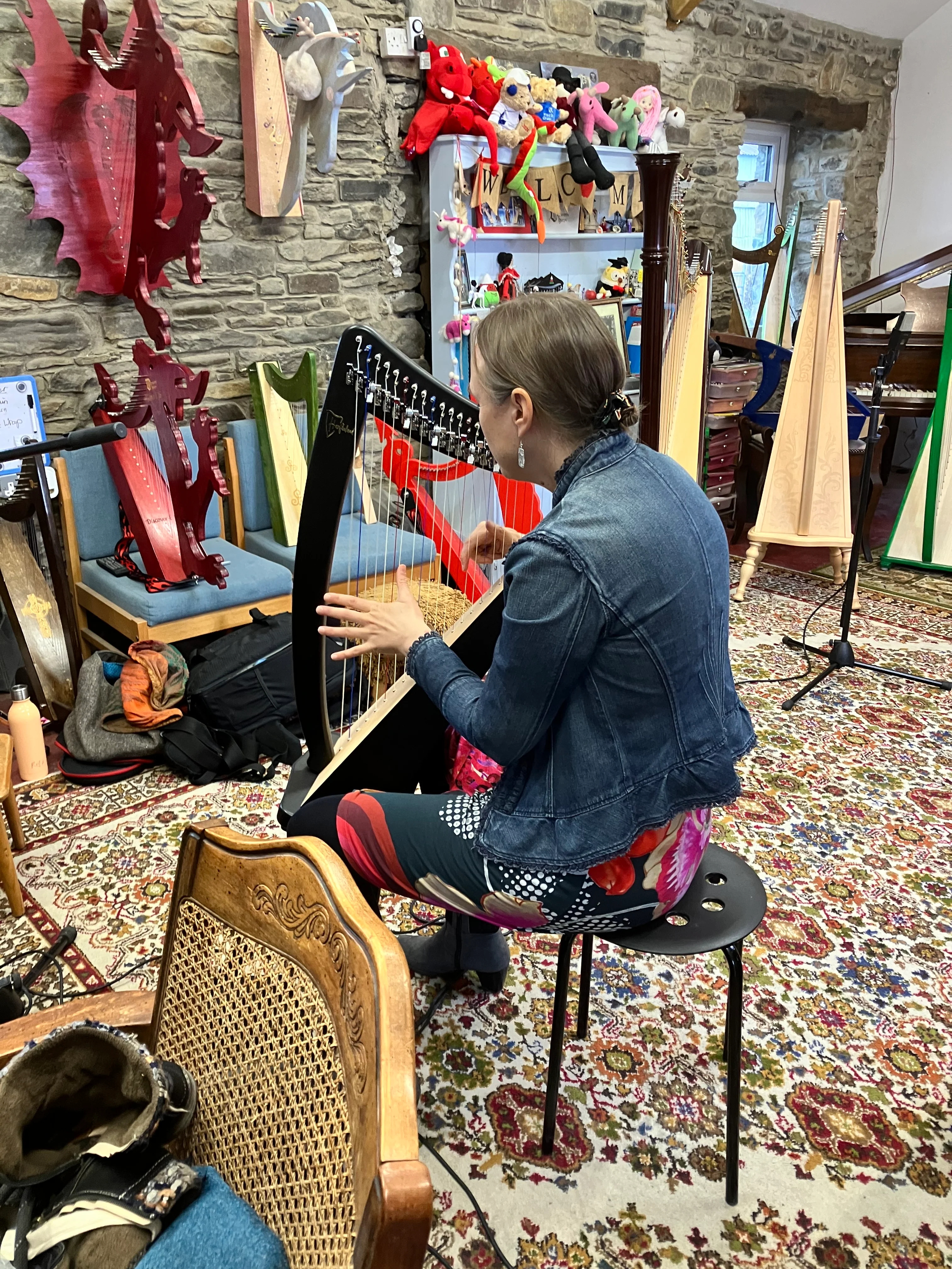 Erin 22 String Lever Harp by Harfenland - Image 12