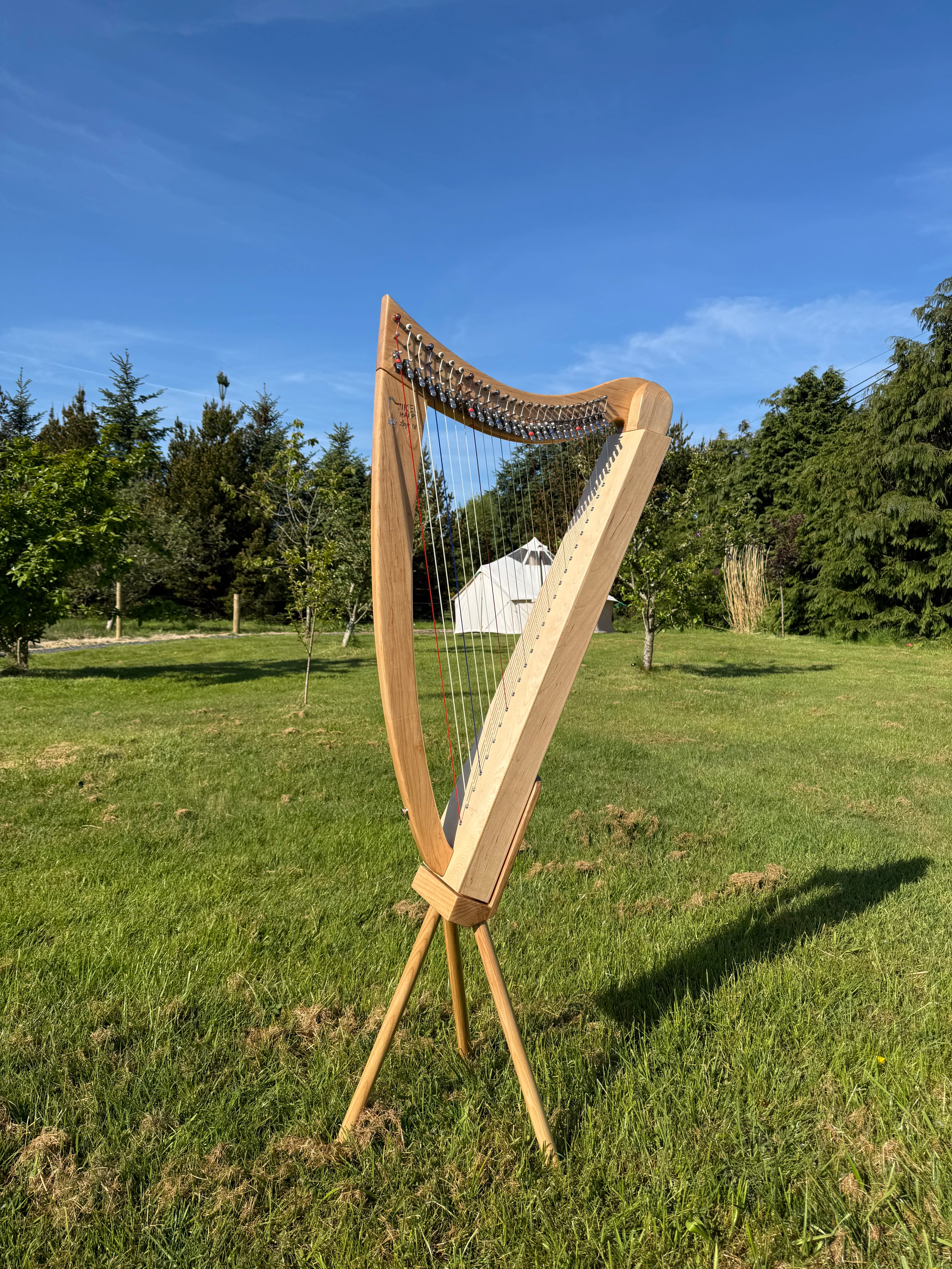 Lily Lap Harp