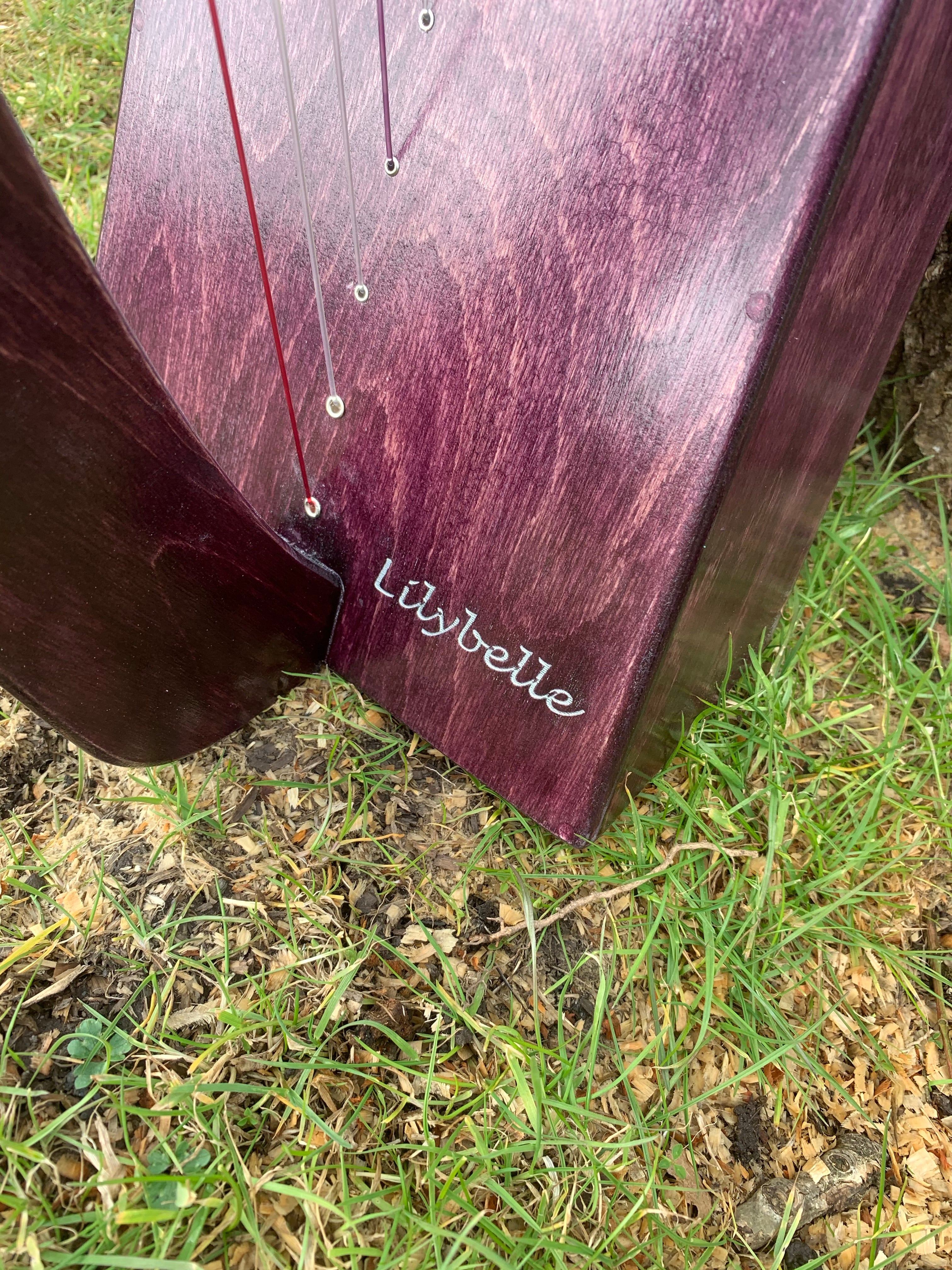 Personalisation of Your Derwent Harp - Image 4